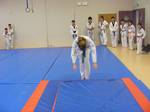 2010 - Stage de Taekwondo enfants n11