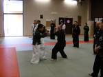 2010 - Stage national de Hapkido n1