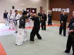 2010 - Stage national de Hapkido n2