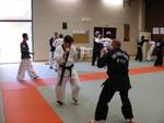 2010 - Stage national de Hapkido n4