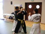 2010 - Stage national de Hapkido n9