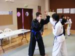 2010 - Stage national de Hapkido n10