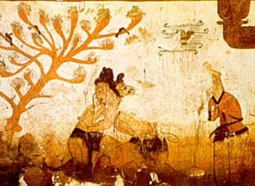 Combat de Sireum